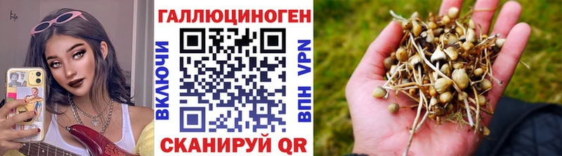мега онион  как найти   Череповец  Псилоцибиновые грибы Magic Shrooms 